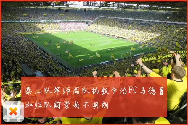 泰山队军师离队执教今治FC马德鲁加归队前景尚不明朗